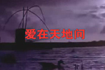 爱在天地间——澳网（中国）官方网站视反哺社会为己任